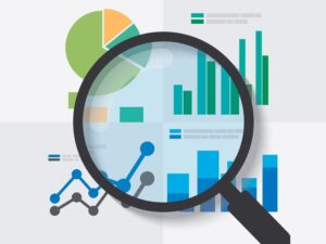 Cercetări statistice în orașul Căușeni!